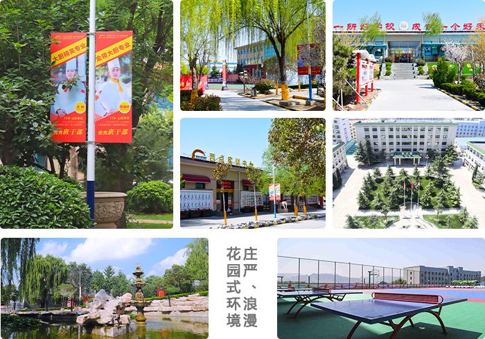 指导玩球直播app玩球app优惠活动