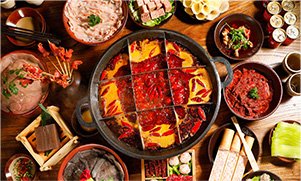 职教高考升本科 校企培养好工作